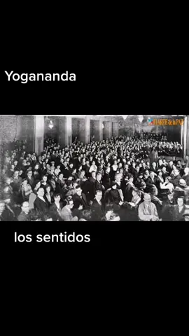 #luz #mistica #vida #amor #sabiduría #paz #pensamientos #espiritualidad #iluminacion #yogananda