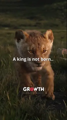 A King Is Not Born.. 🦁