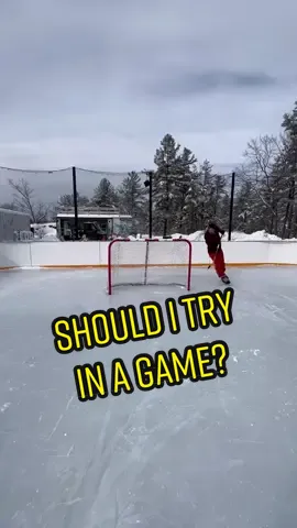 I’ve been getting the hang of this? Should I try it in an Old Paint Cans game? #hockey #NHL