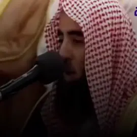 #рек #quran #прекрасноечтениекорана #печаль #люхайдан