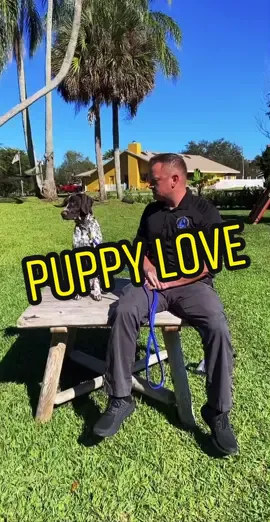 Love my job! #puppylove #puppies #fridaymood #fridayvibes #kisses #puppykissies #dogtrainer #trend #viral #lovemyjob