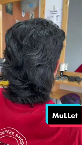 Menurut kmu di tahun 2022 model potongan rambut yg paling keren model apa nih??? #mullet #twoblock #frenccrop #barberstyle21 #klaten #klatenfyp #fyp🔥💯