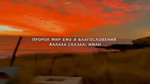 В HD качестве вы можете скачать у меня в telegram. ссылка в профиле.📌#ислам #мусульманин #коранисунна #уммат #вераваллаhа #такбир☝️ #иман #коран
