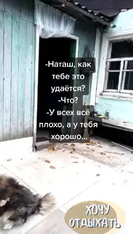 Всем позитива🖐#настроение #бытьдобру🙏 #сюморомпожизни