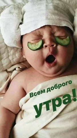 #улыбнись #доброгодня #утро #сдобрымутром #хорошегодня #доброеутро #хорошегонастроения