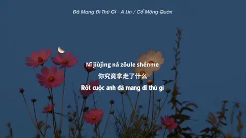 Đã Mang Đi Thứ Gì | A Lin | #comongquan #nhactrungquoc #damangdithugi #lyrics #nhactamtrang #xuhuong2022