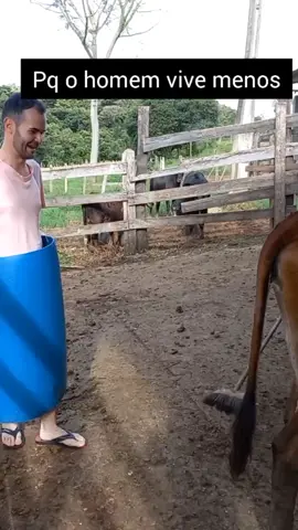 quero ver vocês fazerem também #coice  #coicedevaca  #coicedemula  #coice_de_mula  #tomeiumcoice