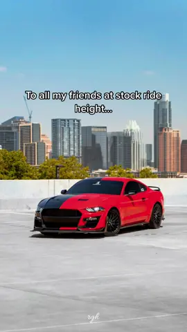 Mfs with springs be like  @dat5.0mar @tobyvegad @wyattworthy @atleastshedrivesstick #mustang #manual #lowered #car #southflorida #Bozo5oh