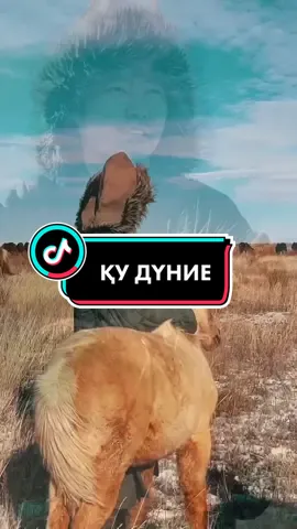 Күшті ғой өмір деген!#talimtv #тәлімтв #өмір #жизнь #жизньпрекрасна #қудүние