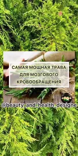 #bh_designe #зож #полезно #голова#мозг#сердце#сосуды#инсульт#здоровье#иммунитет#здоровоетело#пп#ппрецепты#совет#зож2021#зожсовет#полезное#полезнознать