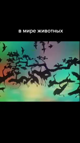 Любимая телепередача граждан СССР - 