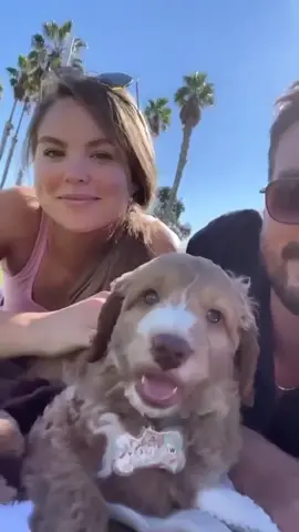 wally makes the 🌎 a whole lot better! #dogparents #puppylove #doglover