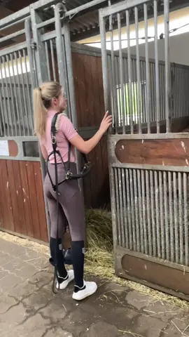 I guess it worked ? 😂💗 IG:annchen.augustine #fy #foryou #equestrian