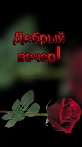 #добрыйвечер                                   Здоровья и счастья тебе!