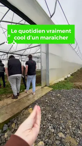 Le quotidien d’un maraîcher ! #oselagriculture #anefa #agriculturetiktok #maraicher