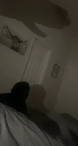 When your big scary rotweiler is scared of shadows #rottweiler #scared