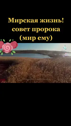 #куръан #сунна #ислам #религия #муслим #вера