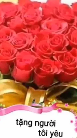 #nhạchaymỗingày #