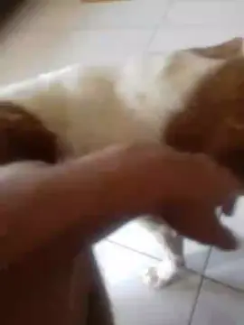 #mxkdkdkdkdkdkdkdkdkdkdkdkkd