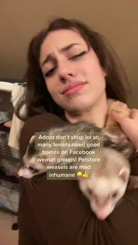 Old pets are the best
