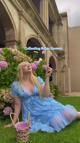 #ad Which one you choosing? @Cider ☁️💌 #tgirl #fyp #shopcider #cidergang #cidervday #ad