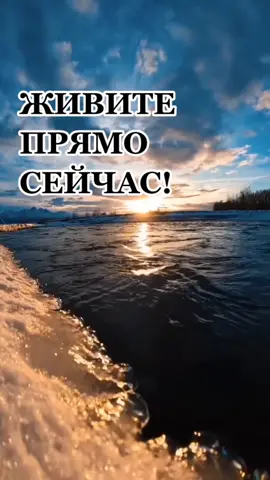 Дорожите каждой минутой своей жизни!#жизньпрекрасна #мояжизнь #мыслиожизни #жизнено #душевно #смысл #смыслжизни