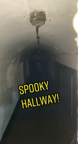 Abandoned hallway in San Francisco #urbanexploring #creepy #paranormal #fnaf #scary #freddy #vanessa