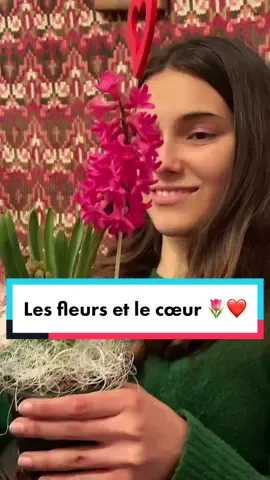 La fleuriste est habituée de me voir à force, n’est-ce pas @Misha 💛 ? 😙 #couplegoals #cadeau #fleurs #amour #mignon