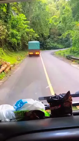 yang pernah lintas Sulawesi pasti tau tanjakan ini dimana #lintassulawesi #truksulawesi #drivertiktok #Dominus