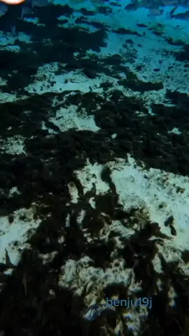 #Oceandeepmoment