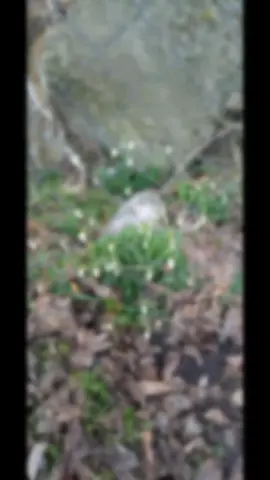 #пышкалапушка