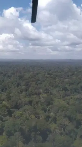 #bomdia #GuianaFrancesa🇲🇫 #TikTok #naturreza