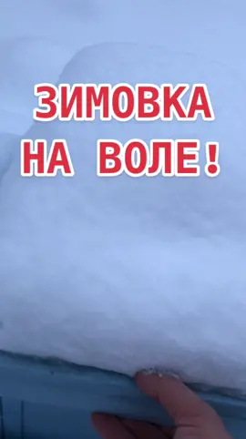 #свояпчелка #пчеловод #зимовка #скоровесна #пчелы #пчеловодство #эксперименты #зимовкапчёл #успехнеизбежен