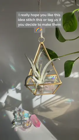 Not to bad for $4 @jasperandgemini  #dollarstorehack #hangingplants #crystalterrariums #holographic #rainbows