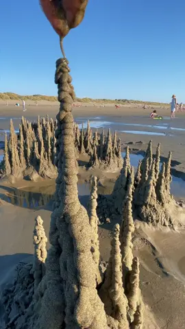 #loop #loopmein #loops #satisfying #satisfyingvideo #oddlysatisfying #oddlysatisfyingvideo #tower #sandart #kineticsand #beach #beachvibes #asmr