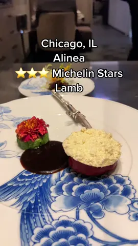 Alinea: Lamb Chop ⭐️⭐️⭐️ #michelinstars #chicago #alinea #finedining #docueatery #highspeeddining #foodtiktok #lamb