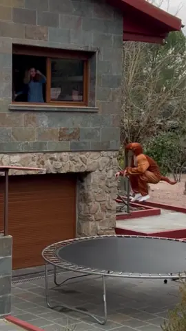 Ya me van conociendo mejor 🦘