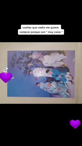 porfis llevense las cositas. #merchkpop #btsarmy #bts #straykids #strawberryshop