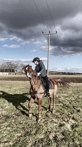 Fällt es euch leicht euch zu entschuldigen wenn ihr wirklich etwas falsch gemacht habt? || @heart._horses 🤍