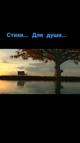 Стихи... Для души...