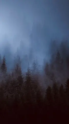 سورة البقرة الصفحه 28 بصوت الشيخ عبدالرحمن السديس #لايك_متابعه_اكسبـــلور