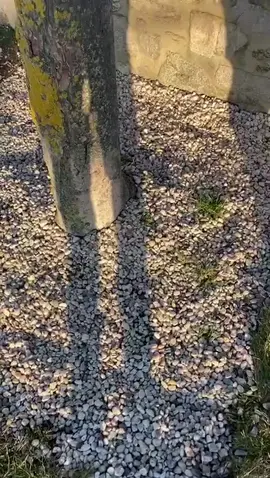 #fypシ #funnyvideos #friendsforever #friendship #spring @raudi1987