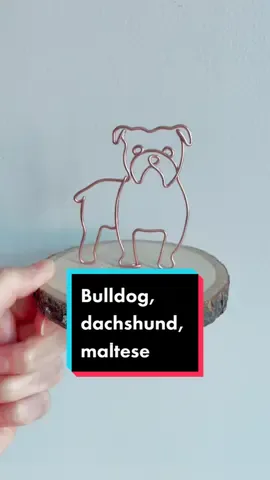 #wireart #wiresculpture #petmemorial #dogmemorial #petportrait #dogportrait #bulldog #dachshund #maltese #frenchbulldog