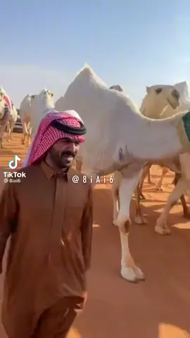 #مضيات #عمير_القحطاني #قحطان #صياهدرماح #zflipclackdown