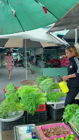 Đi mua rau không coi ngày #tuncuibap #vietdrama