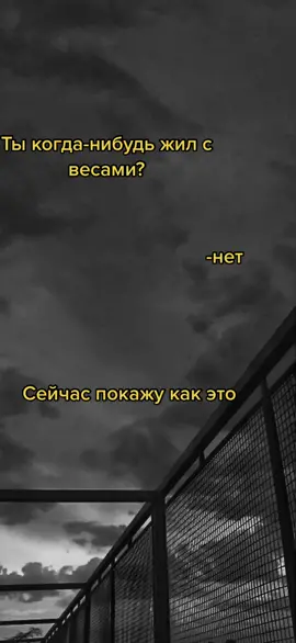 #весы #весызнакзодиака #зз #рек #отношения #рекомендации