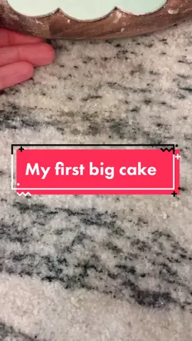 My first big cake! #bake #AVrboForTogether #SoFiBreakUpChallenge #cakeart #cakedecorating #caketok #fondantflowers #cakedecorator