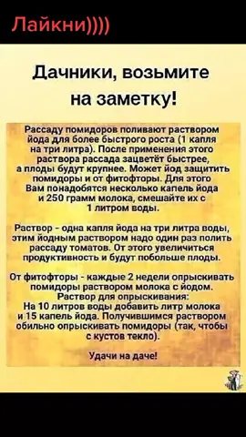 лайкни, чтобы сохранить)))) #врекомендации🤤😻️💓