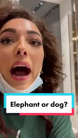 PLEASE TELL HIM!!!!!! @khalid.alherani #couplecomedy #arabiccouple #moroccangirl #reactions