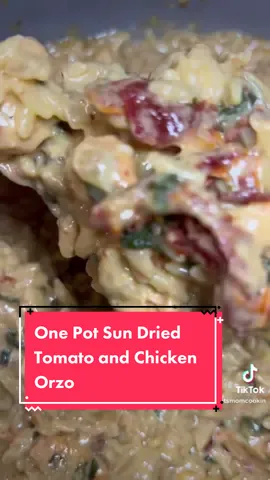 reposting this because I am making it again tonight and am too lazy to do another video! 😜. #orzo #pasta #easydinner #foodtiktok #onepotmeals #yum